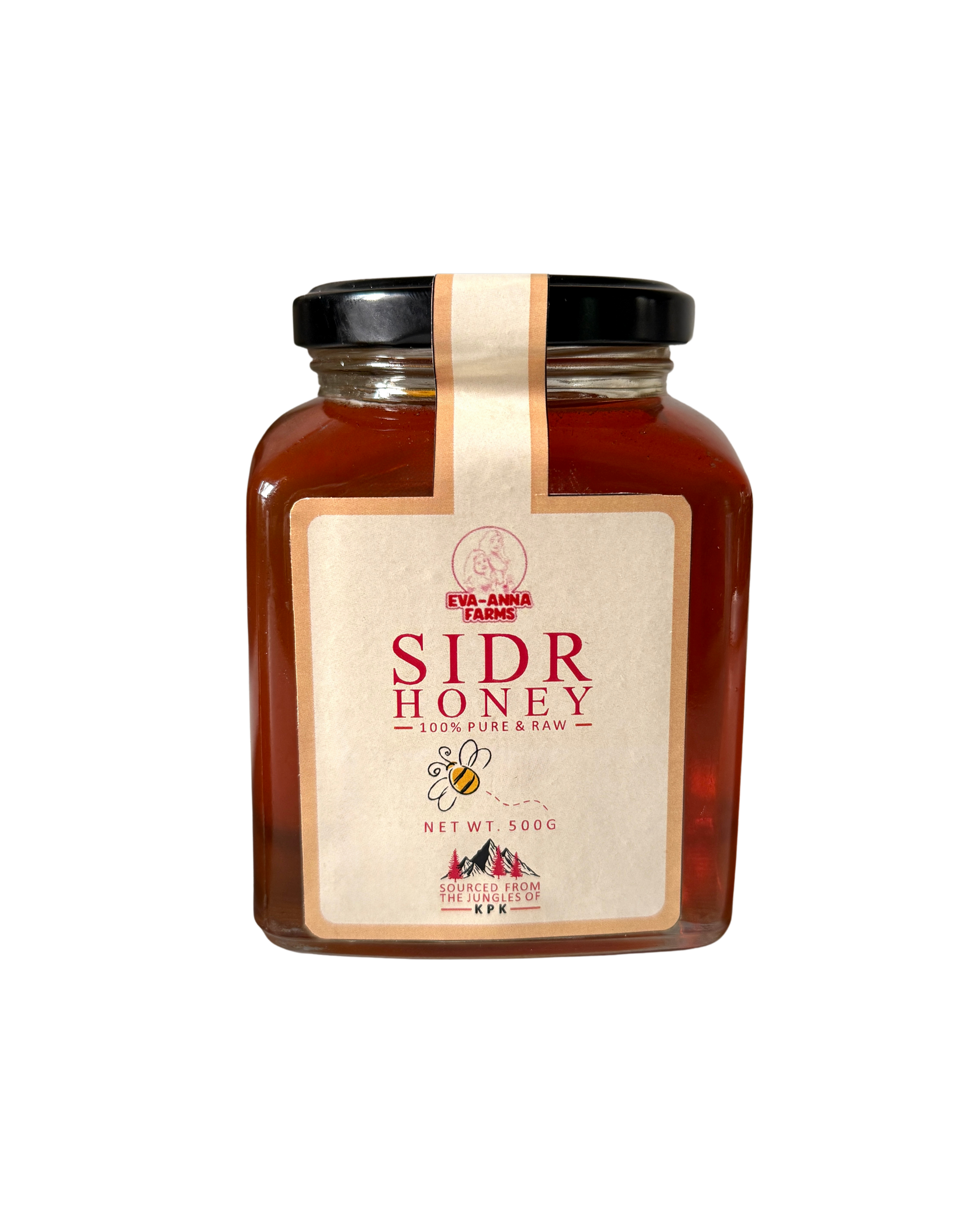 Pure Sidr (Beri) Honey (500 GM)
