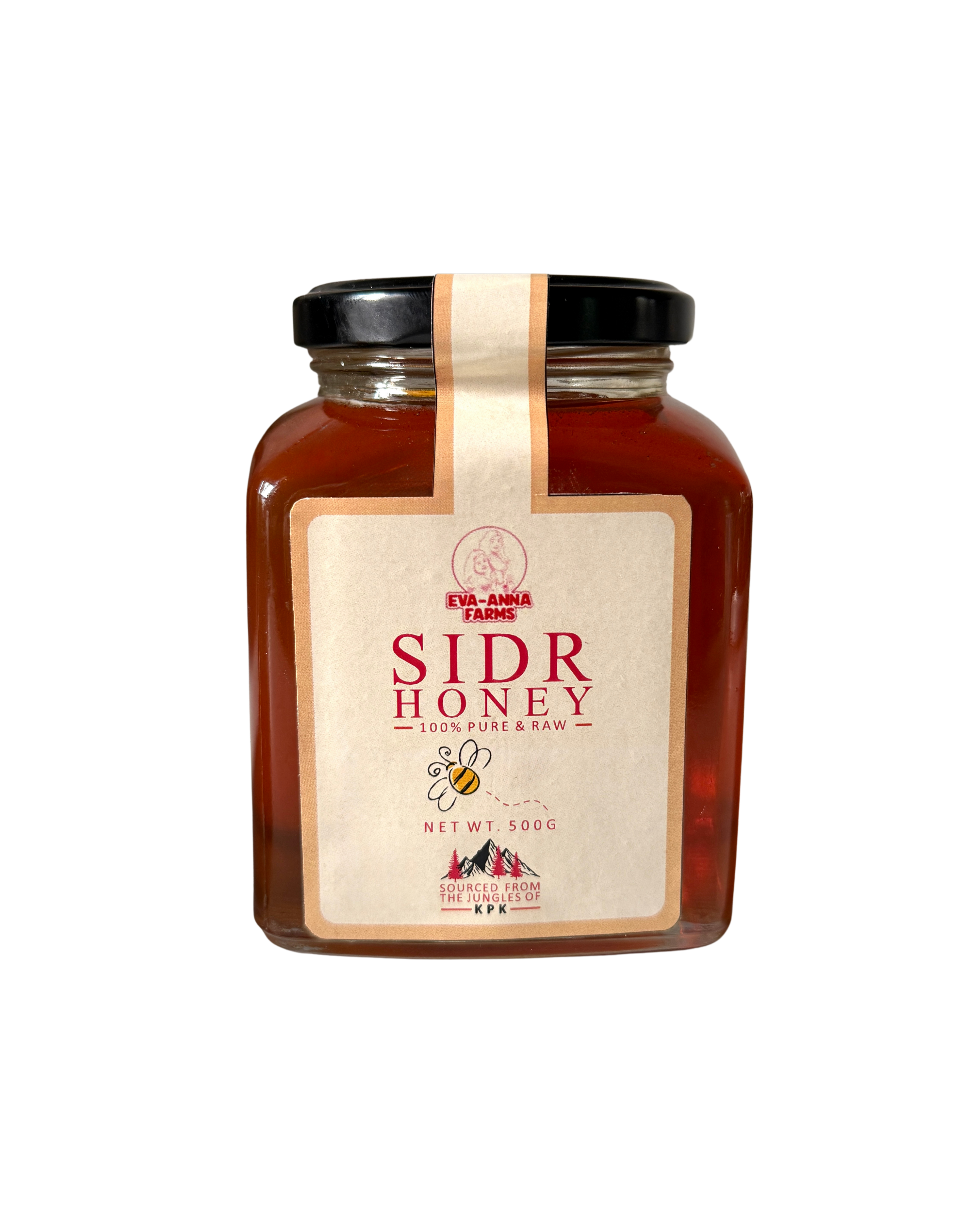 Pure Sidr (Beri) Honey (500 GM)