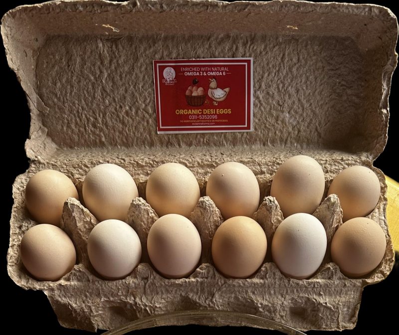 Organic Desi Egg (1 Dozen)