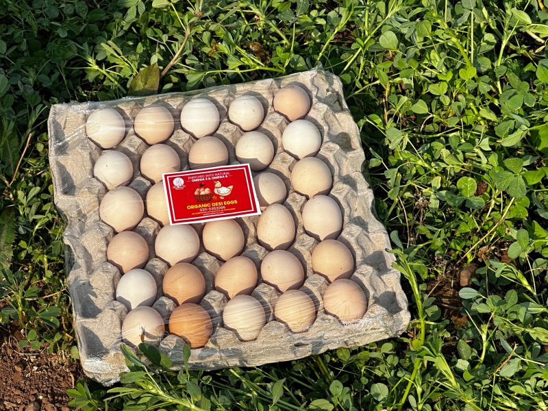 Small Eggs (1 Tray- 30 Eggs)